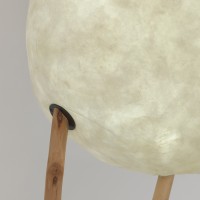 <a href="https://www.galeriegosserez.com/artistes/de-kergal-diane.html">Diane de Kergal</a> - Manguier I